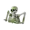 Decoración de Halloween Transfronteriza de Medio Esqueleto Montaje de Escena para Fiesta Adornos de Mesa Modelo Realista de Esqueleto Humano