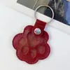 Llavero con Huella de Pata de Gato Bolsa de Almacenamiento de Pelo de Mascota Pu Llavero con Huella de Pata Colgante Pelo Gato Perro Suministros para Mascotas