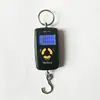 Balança Doméstica Weiheng Wh-A05 45kg Balança Portátil de Plástico Atacado Balança Portátil para Pesca ao Ar Livre
