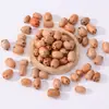 Kit de Materiais para Boneca de Vagem Acessórios DIY Feitos à Mão Pingente de Chaveiro Charme de Bolsa Concha de Fruta Natural Sino de Vento Matérias-Primas Atacado