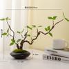 Planta artificial verde fresca planta artificial sala de estar arranjo de flores interno decoração decoração de mesa de hotel decoração suave flor