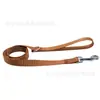 Collar para perro de venta caliente transfronterizo con arnés de pecho y correa extendida, collar y correa de perro de nailon de color sólido para Amazon