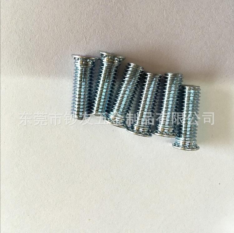 压铆螺钉4