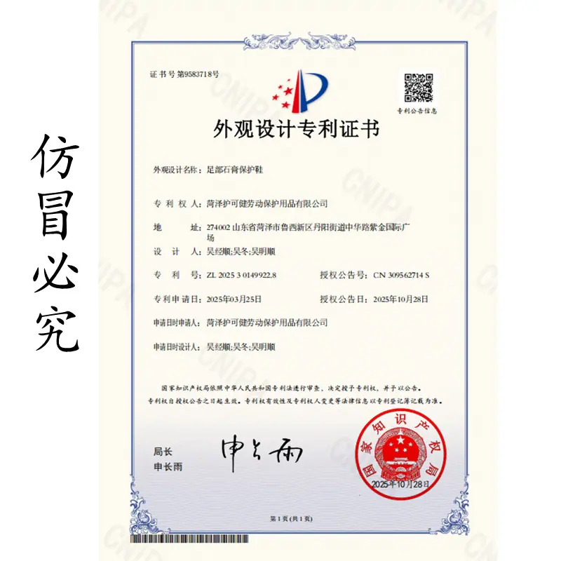 专利_副本_副本