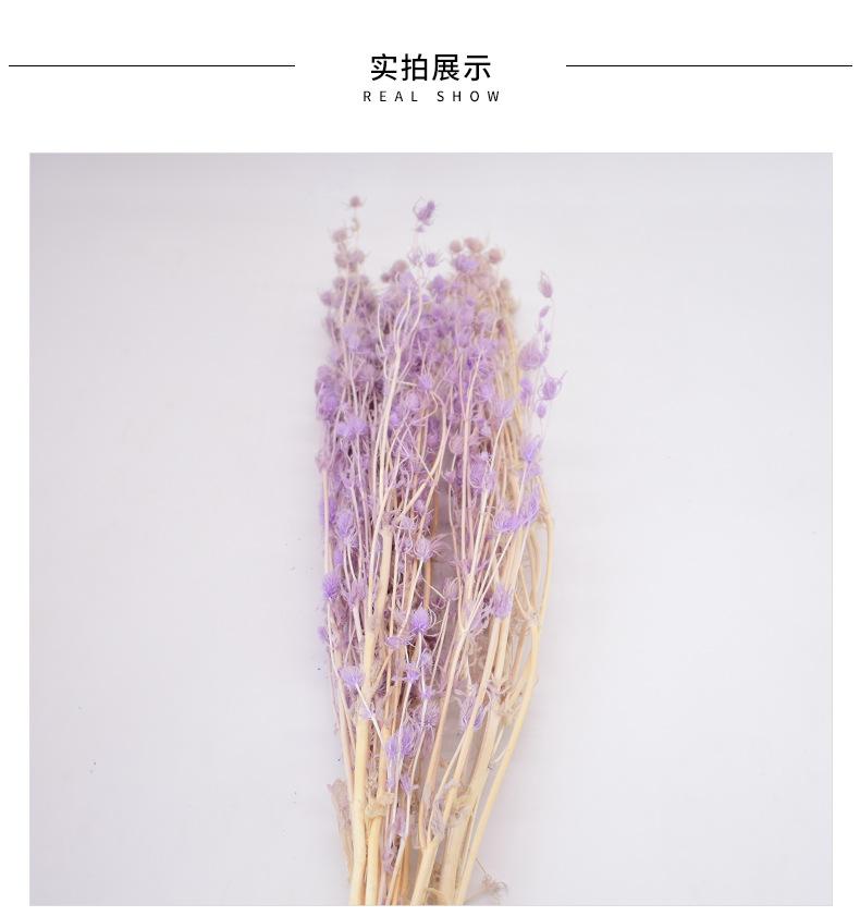 详情_06