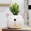 Artesanías de Cerámica Hecho a Mano Pintado Lindo Panda Animal Flor Carnosa Verde Plantación Maceta de Flores Adornos Decorativos
