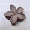 Pinza para Plumeria al por Mayor Transfronteriza Pinza Lateral de Venta Caliente para Vacaciones Horquilla para el Cabello Parte Posterior de la Cabeza Pinza de Tiburón Accesorio para el Cabello