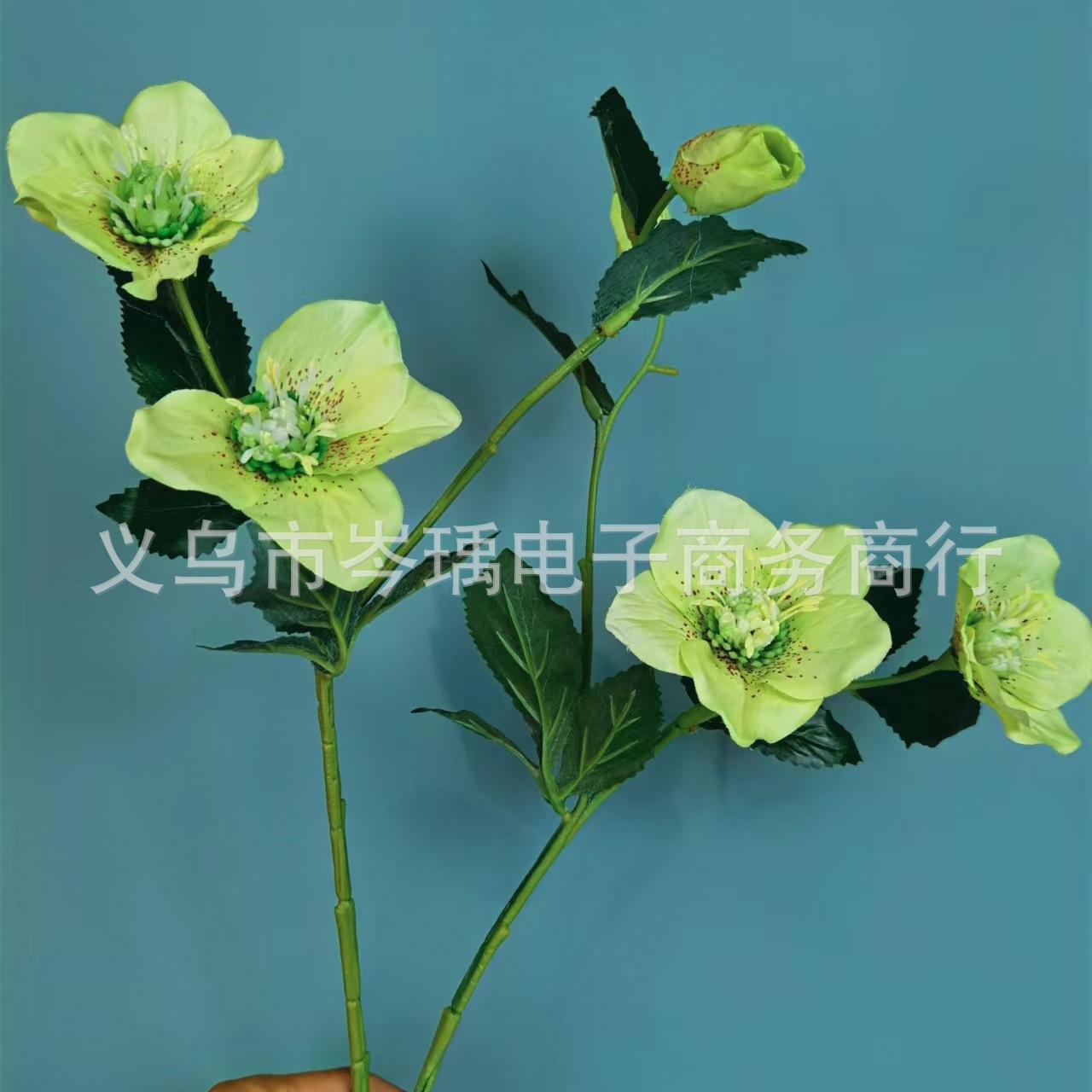 微信图片_20220608110102.jpg