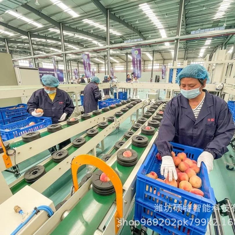 2024-04-05 10:55:39.jpg