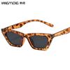 Nuevas gafas de sol estilo ojo de gato de celebridades europeas y americanas en línea, gafas de sol de moda para damas de color caramelo, gafas de sol con montura pequeña, venta al por mayor transfronteriza