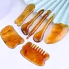 Palo de Masaje Facial Lifting, Cepillo Meridian, Herramienta de Belleza para Puntos de Acupuntura de Pies, Bolígrafo de Acupresión, Tabla Raspadora de Masaje para la Salud de Resina