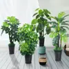 Árbol de dinero simulado plástico árbol falso planta árbol en maceta de pie sala de estar interior decoración de flores planta verde falsa bonsái