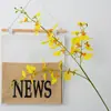 Orquídea Dançante Amarela Casamento Flor de Seda artificial Orquídea Wenxin Orquídea Borboleta Decoração de Casa Flor Falsa Simulação Orquídea Dançante de 3 Hastes