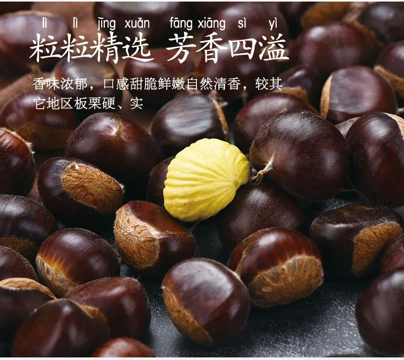 新老树_08.jpg