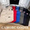 Chaleco de Plumas de Ganso Otoño e Invierno Nuevo Engrosado de Moda Casual sin Mangas Chaqueta de Plumas Chaleco Térmico de Plumas de Pato para Hombres y Mujeres