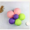 Novo balão flor de ameixa clipe acessórios decorativos modelagem seis em um balão clipe balão fivela flor acessórios atacado