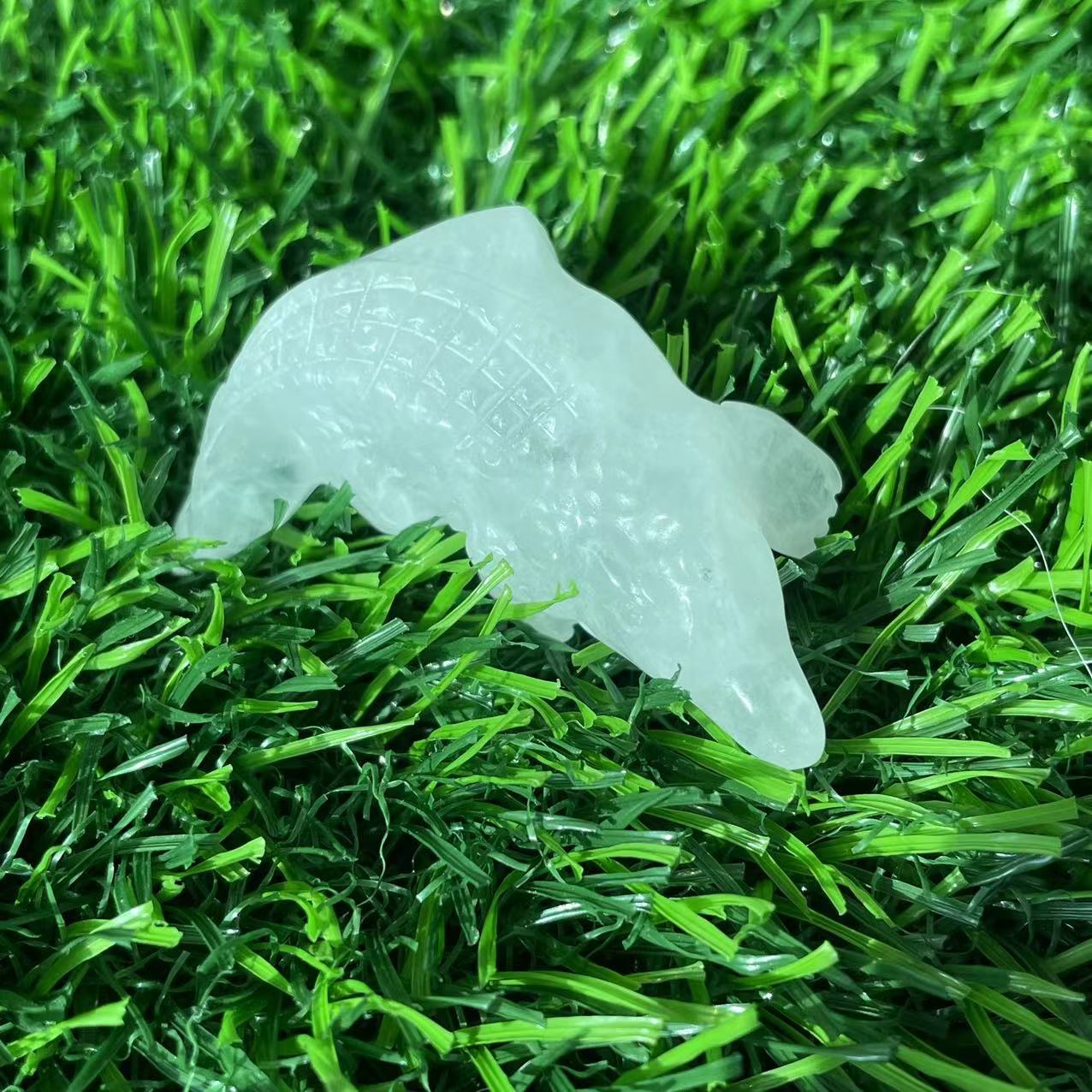 crystal alligator (4)