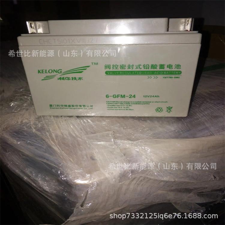12V24AH1.webp.jpg