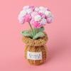 Terminada flor artificial de Phalaenopsis de lana tejida a mano transfronteriza en maceta, adornos de flores eternas, puesto de mercado, regalo para mujer