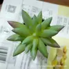 Suculenta Artificial en Maceta Suculenta Bonsái Jarrón Arte Floral Simulación Fábrica de Suculentas de Alta Gama Plantas Suculentas en Maceta