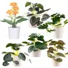 Mini maceta de plástico artificial hecha a medida para escritorio, regalo transfronterizo, hierba de cobre Pu, planta verde, crisantemo silvestre, flor artificial, bonsái de simulación