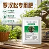 Fertilizante Especial para Podocarpus Macrophyllus Fertilizante Composto Grande Pinheiro Cipreste para Bonsai Externo em Vaso Nitrogênio Fósforo Potássio Orgânico de Liberação Lenta