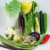 Adereços de educação infantil por atacado, adereços de estúdio para filmagem, enfeites de janela, repolho falso, rabanete, modelo de vegetal falso, simulação de vegetais