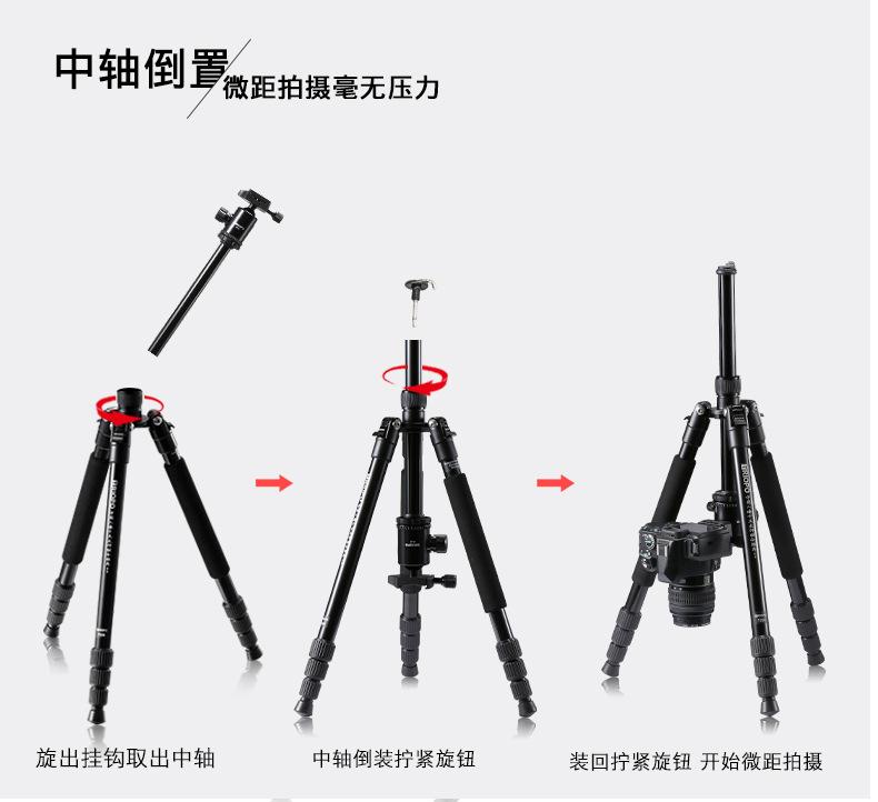 M2508 (2).jpg