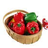 Linterna de Simulación Pimiento Falso Verdura Pimiento Fruta de Verdura Modelo de Pimiento Rojo Verde Amarillo Accesorios Adornos Decorativos Juguetes Educativos para Niños