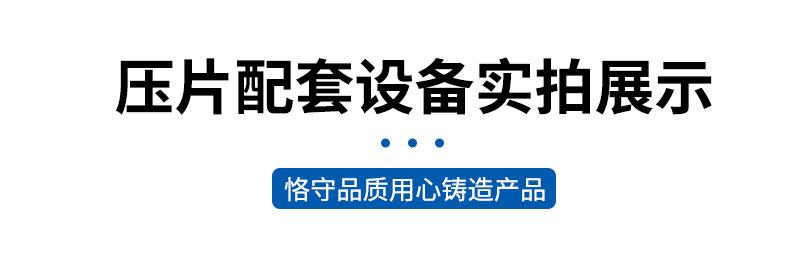 压片成套设备供应厂家_09