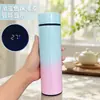 Termo Taza Termo de Acero Inoxidable 316 Taza de Agua Inteligente para Hombres y Mujeres Separación de Té y Agua Taza de Regalo de Alto Valor Venta al por Mayor