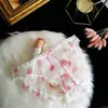 Ropa Interior Nueva de Encaje para Mujer Sexy Cómoda Transpirable Oferta Especial Venta de Liquidación