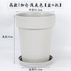 Maceta Universal de Galón, Maceta de Resina para Uso Doméstico, Maceta Pequeña, Maceta Engrosada para Rosas, Maceta con Plato