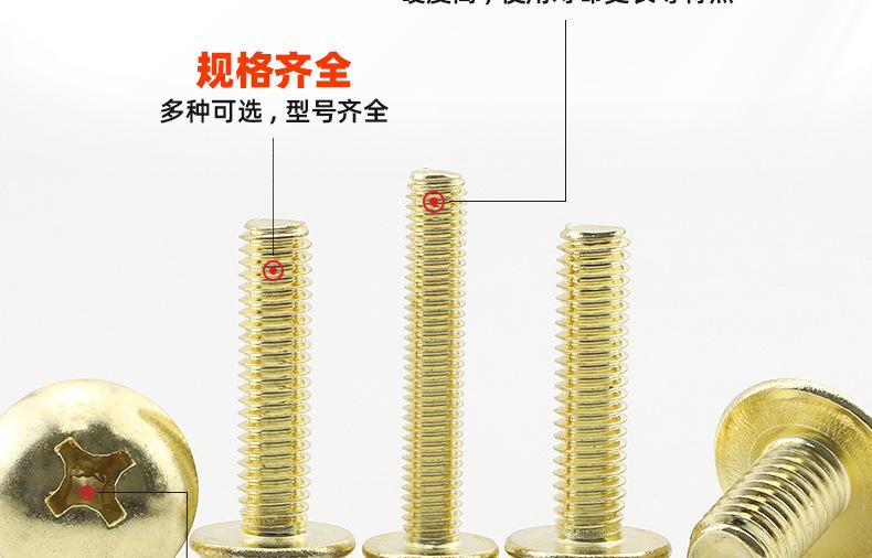 304不锈钢金色十字大扁头机牙螺丝_03_10.jpg