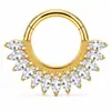 Anillo nasal cerrado sin costuras de aleación de titanio G23 con incrustaciones de circonita Zhenping, aro para tabique nasal y hueso de la oreja, joyería nasal finamente tallada F136