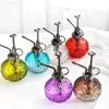 Regadera de vidrio vintage de diamantes Nueva Aspersor para jardín y hogar Rociador de riego a baja presión Florero de riego en spray