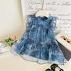 Vestido Qixiaoqi para Meninas Transfronteiriço Novo Verão Moda Infantil Sem Mangas Colete Vestido de Princesa Estilo Bolo