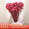 Venta al por mayor de fábrica Flor Eterna de Hierba de Cristal flor seca Ramo DIY cumpleaños Día de San Valentín Navidad regalo decoración caja de regalo