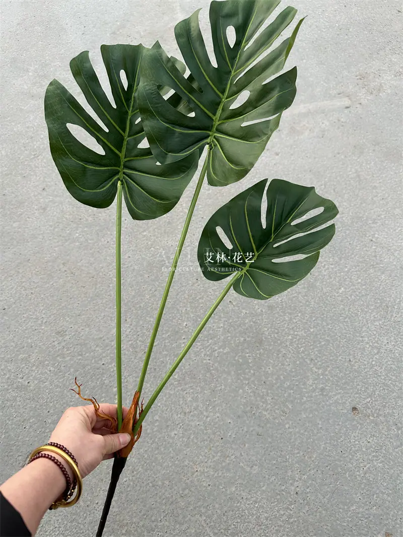 9叉绿植