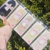 26 Pares de Meias de Renda Femininas de Verão com Solas de Renda, Meias Baixas Embaladas Individualmente, Uma Volta de Solas de Meia Invisíveis Antiderrapantes de Silicone