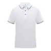 Camisa Polo de Verano Ropa de Trabajo Personalizada Estampada con Logo Camiseta con Cuello de Solapa Camisa Cultural Ropa de Trabajo Ropa de Trabajo Ropa de Fábrica Estampada con Imágenes Bordadas
