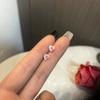 Pendientes de Flores Rosas Pequeños y Exquisitos para Mujer Aguja de Plata 925 Agujeros para las Orejas Elegantes Lujo Ligero Pendientes de Alta Gama