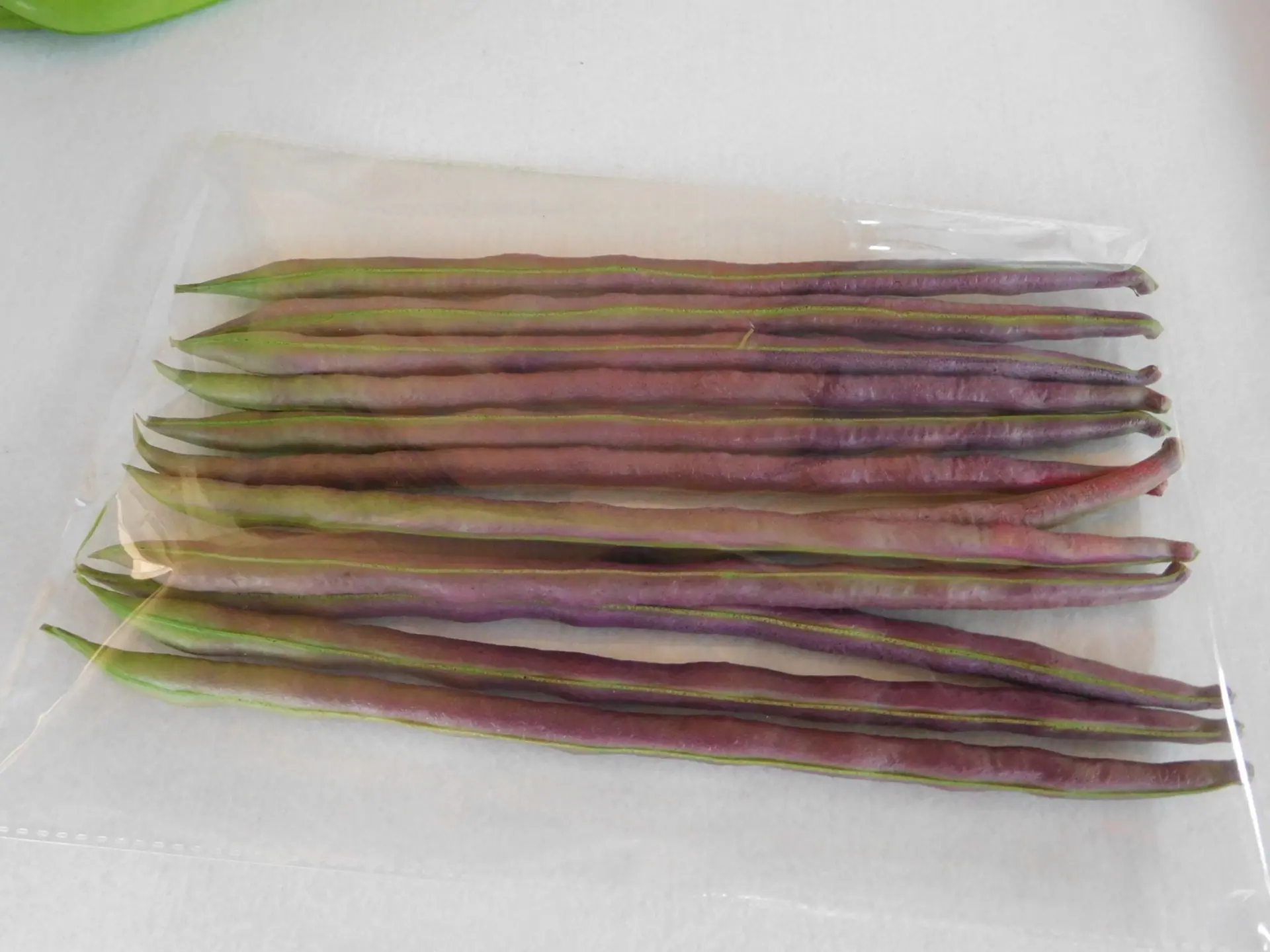 12根紫色短豆角