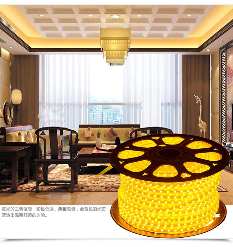 LED灯带2835双排家用客厅吊顶220v防水户外超高亮双排