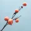 Simulação de Fruta Silvestre com Galho de Caqui Geado Decoração de Casa Planta Decoração Galho de Fruta Fruta de Espuma Simulação de Caqui