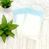 Bolsa Transparente con Cierre de Cremallera Azul y Rosa Degradado Estilo Celebridad de Internet Ins Bolsa de Almacenamiento para Accesorios de Ropa Bolsa de Embalaje Sellada a Prueba de Humedad