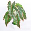 Simulação de 9 cabeças de grande Alocasia Taro folha grande folha de taro simulação de roupa macia de planta verde planta grande material de parede de planta de fada