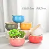 Maceta de Flor de Planta Suculenta de 6 Colores Destaca Cerámica Esmaltada Pastoral Simple Patrón Redondo Esmaltado Clásico Bonsái