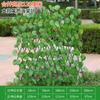 Simulação Cerca Cerca retrátil Flores Falsas Folhas Verdes Pátio ao ar livre Cerca Cerca Cerca Decorativo Folhas Sombra Plantas