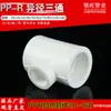 Suministros del Fabricante Tee Reductora Ppr 6 Puntos a 4 Puntos 1 pulgada Tee Reductora Accesorios para Tubería de Plomería Ppr 20-160